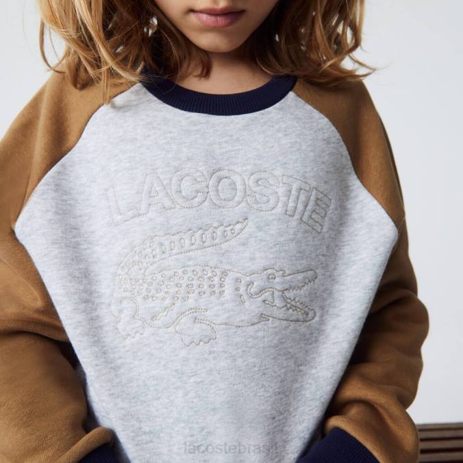 Lacoste crianças moletom color block de marca chine cinza/marrom/azul marinho P2PX3195 roupas