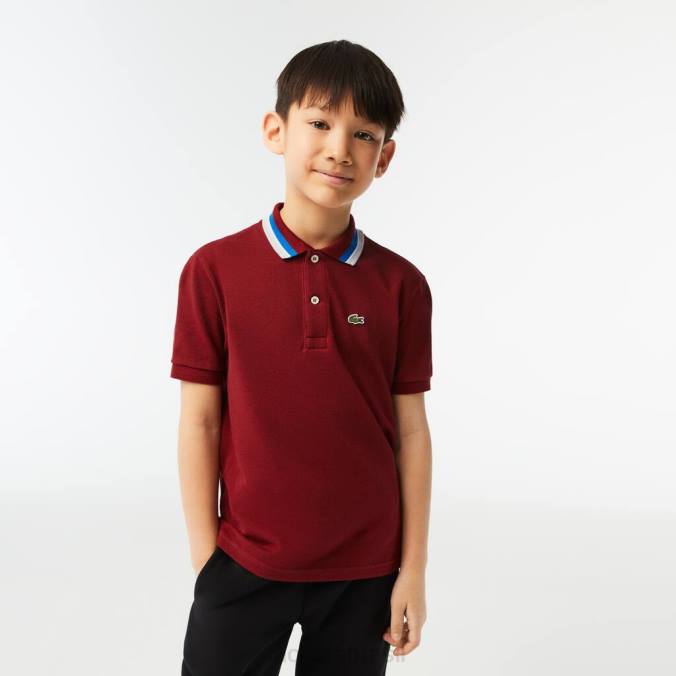 Lacoste crianças polo petit piquê de algodão com gola tricolor bordeaux/branco P2PX2954 roupas