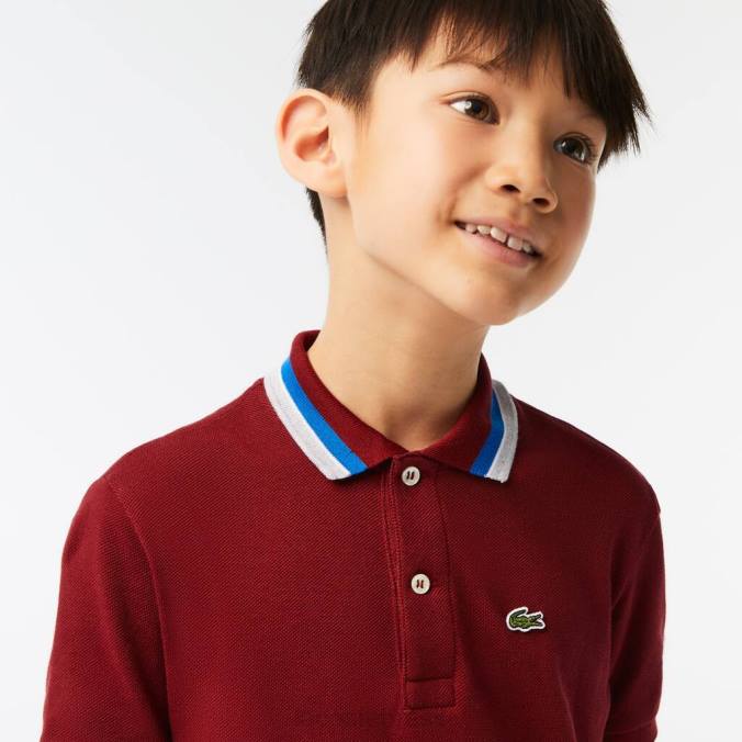 Lacoste crianças polo petit piquê de algodão com gola tricolor bordeaux/branco P2PX2954 roupas