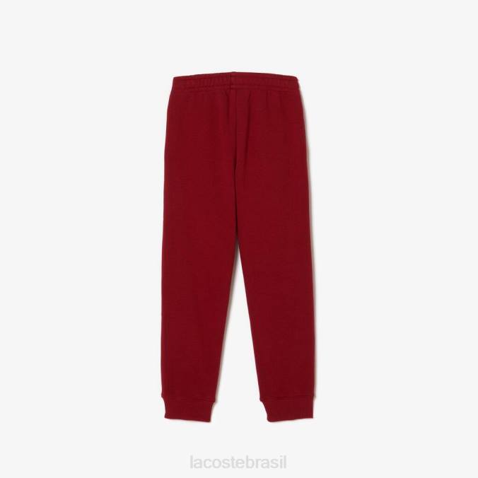 Lacoste crianças calça colorblock Bordéus P2PX3199 roupas