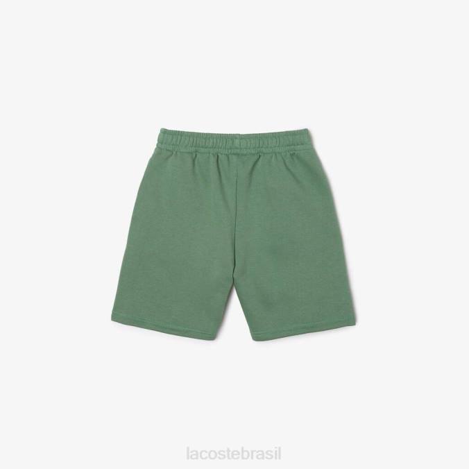 Lacoste crianças shorts de lã de algodão escovado orgânico verde cáqui P2PX3098 roupas