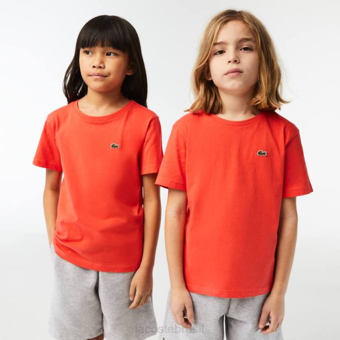 Lacoste crianças camiseta em jersey de algodão com gola redonda laranja P2PX3022 roupas