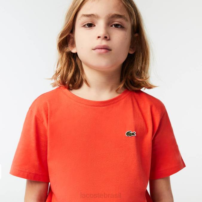 Lacoste crianças camiseta em jersey de algodão com gola redonda laranja P2PX3022 roupas