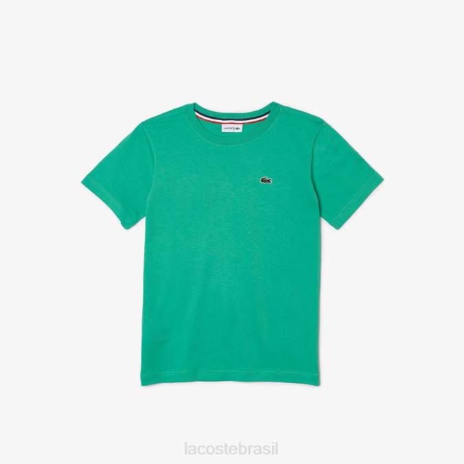 Lacoste crianças camiseta em jersey de algodão com gola redonda verde P2PX3167 roupas