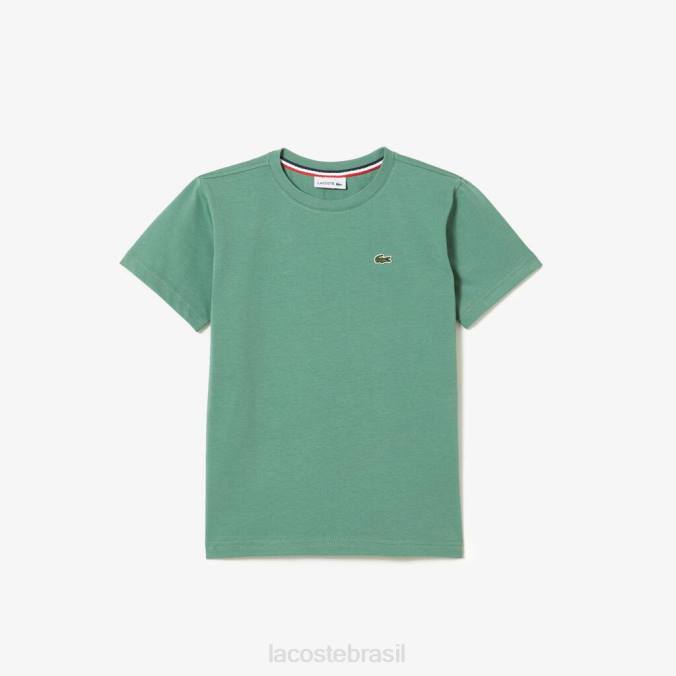 Lacoste crianças camiseta em jersey de algodão com gola redonda verde cáqui P2PX3003 roupas