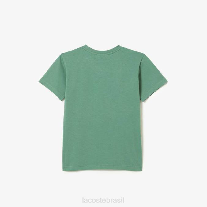 Lacoste crianças camiseta em jersey de algodão com gola redonda verde cáqui P2PX3003 roupas