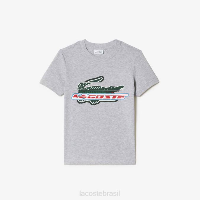 Lacoste crianças camiseta jersey de algodão com estampa contrastante chino cinza P2PX3041 roupas