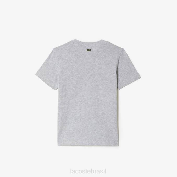 Lacoste crianças camiseta jersey de algodão com estampa contrastante chino cinza P2PX3041 roupas