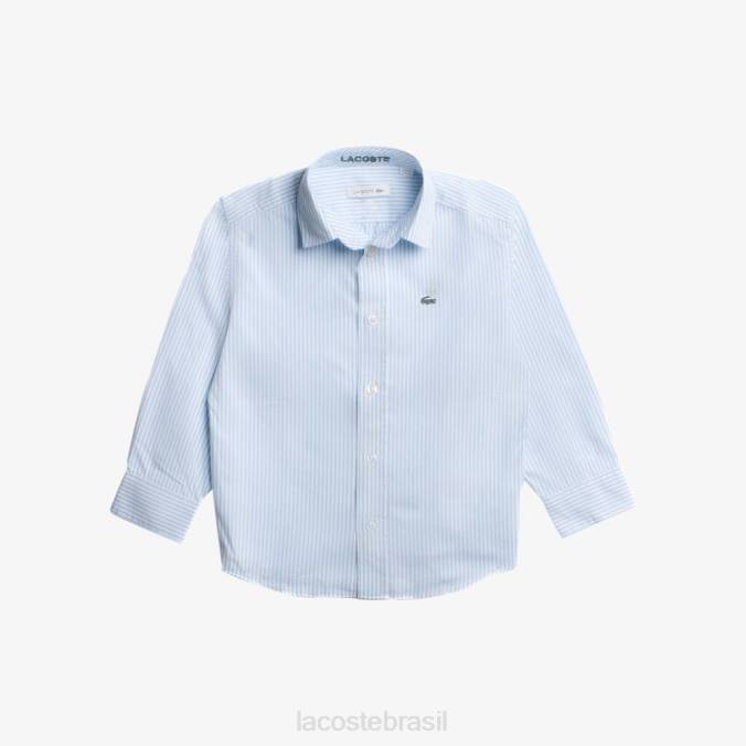 Lacoste crianças camisa de algodão oxford com estampa listrada Branco azul P2PX3201 roupas