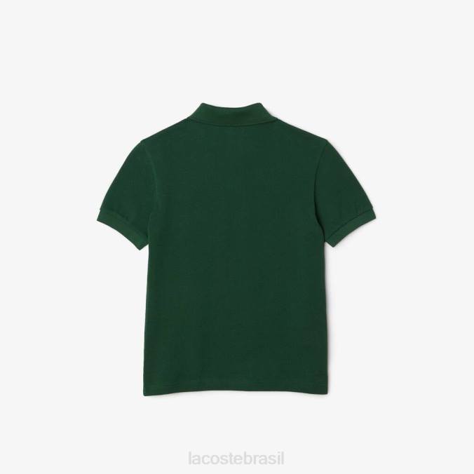 Lacoste crianças polo com estampa contrastante em algodão orgânico verde P2PX3034 roupas