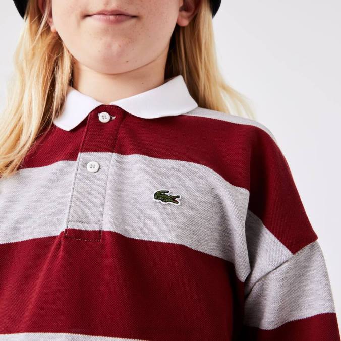 Lacoste crianças polo piquê listrado bordeaux/china cinza P2PX2962 roupas
