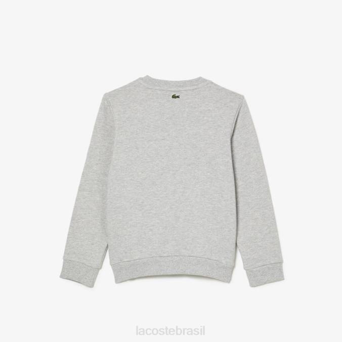 Lacoste crianças moletom colorblock de marca contrastante chino cinza P2PX3057 roupas
