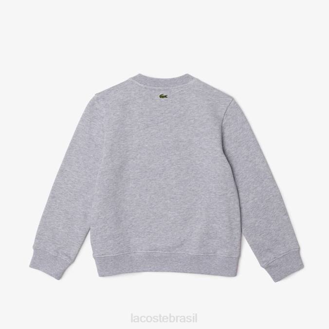 Lacoste crianças moletom de lã de algodão orgânico chino cinza P2PX3050 roupas