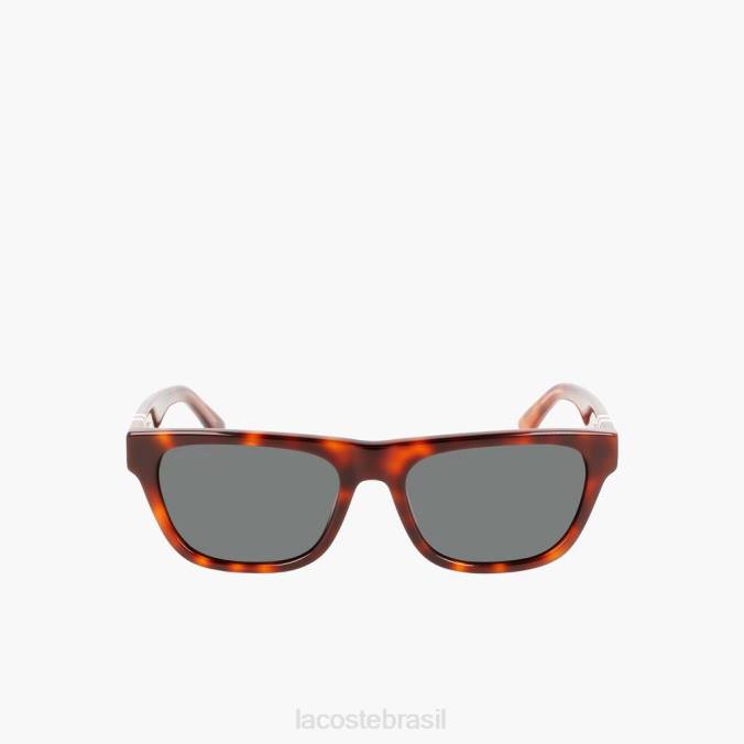 Lacoste homens óculos de sol em acetato retangular estilo escala l.12.12 Havana P2PX2183 acessórios