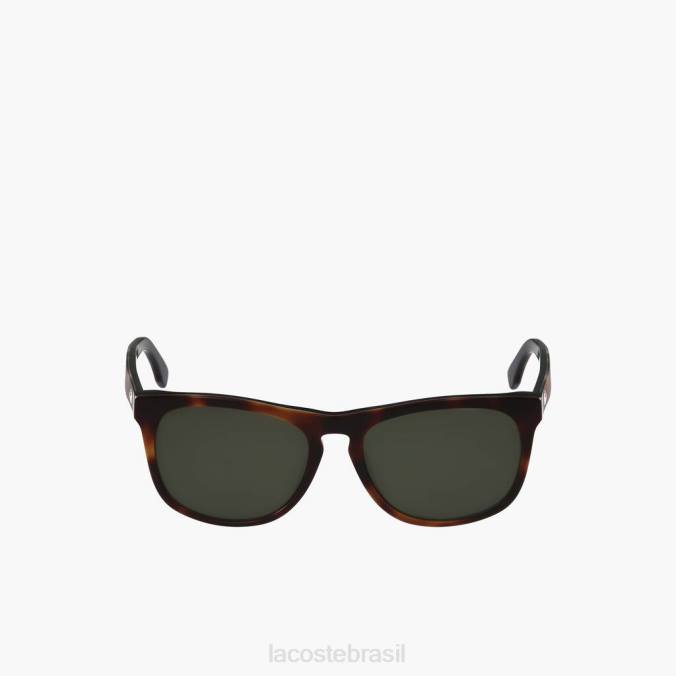 Lacoste homens oculos de sol havana brn P2PX2316 acessórios