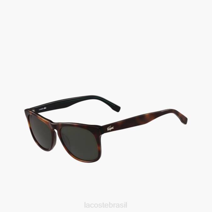 Lacoste homens oculos de sol havana brn P2PX2316 acessórios