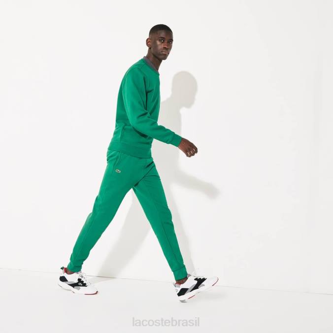 Lacoste homens calça esportiva de tênis de lã verde P2PX959 roupas