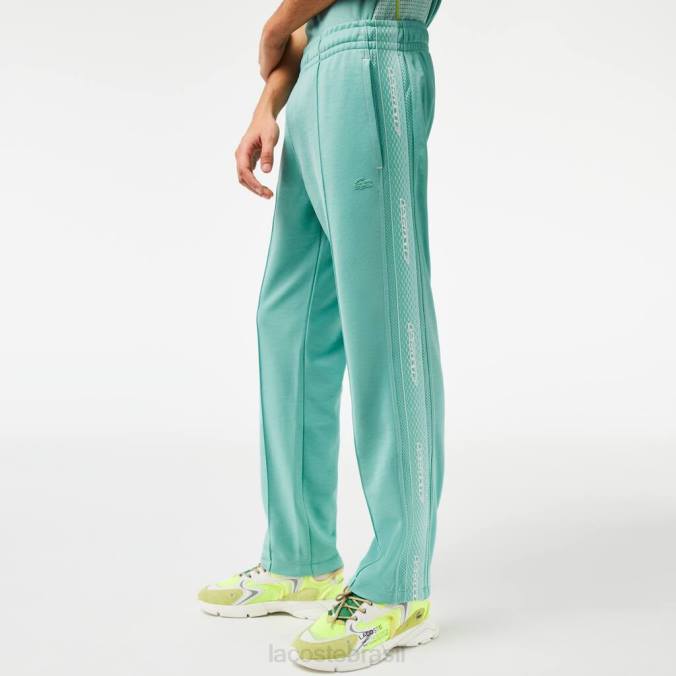 Lacoste homens calça de treino em piquê regular fit verde P2PX337 roupas