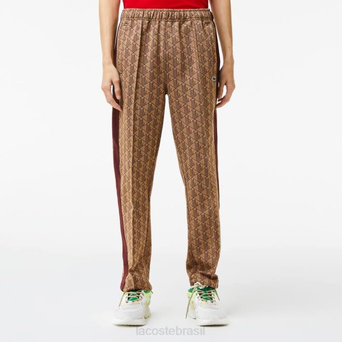 Lacoste homens calça esportiva com estampa monograma bege/bordô P2PX278 roupas