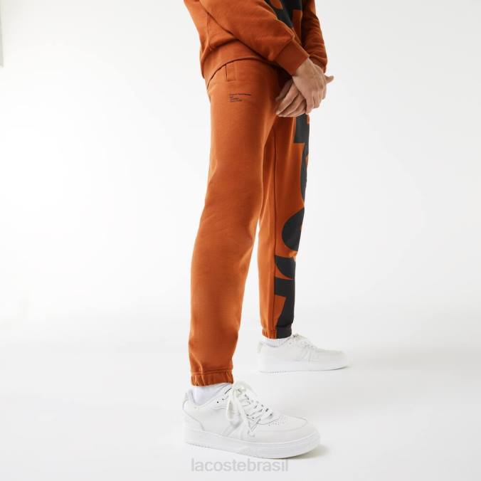 Lacoste homens calça esportiva de algodão com letras contrastantes marrom P2PX1037 roupas