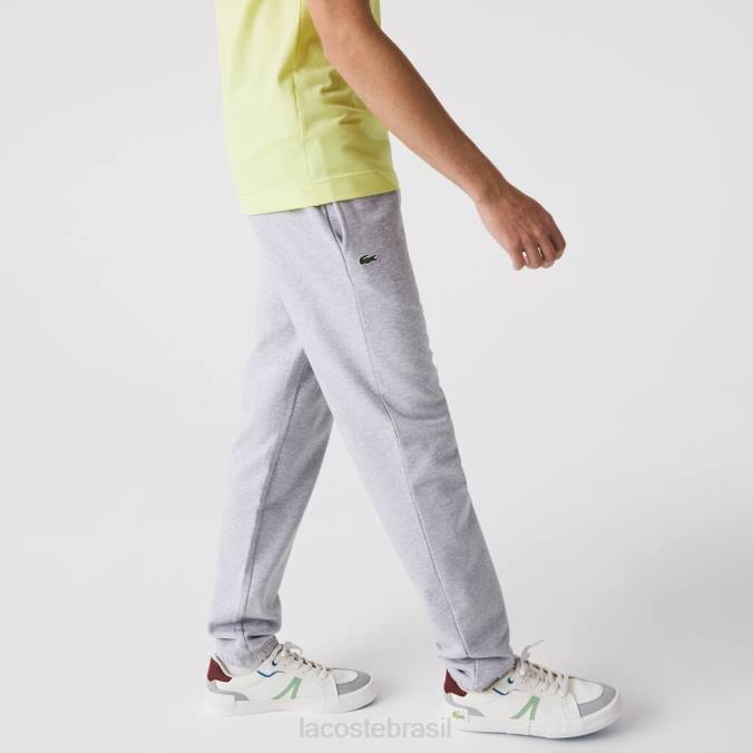 Lacoste homens calça esportiva de lã para tênis chino cinza P2PX1152 roupas