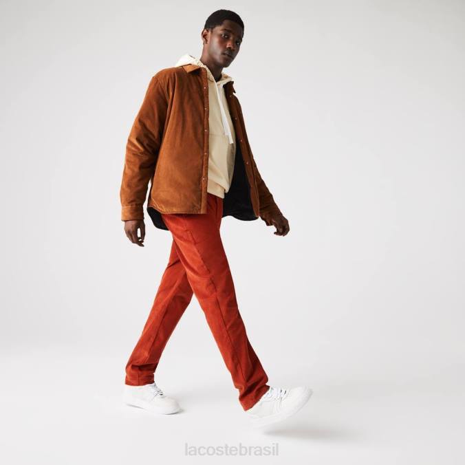Lacoste homens calça reta de veludo cotelê marrom P2PX1643 roupas