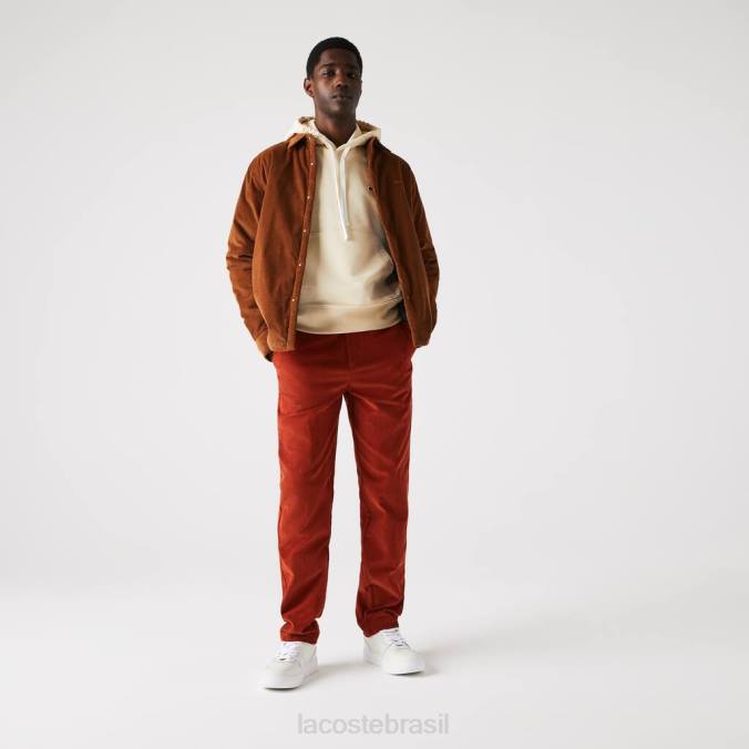 Lacoste homens calça reta de veludo cotelê marrom P2PX1643 roupas