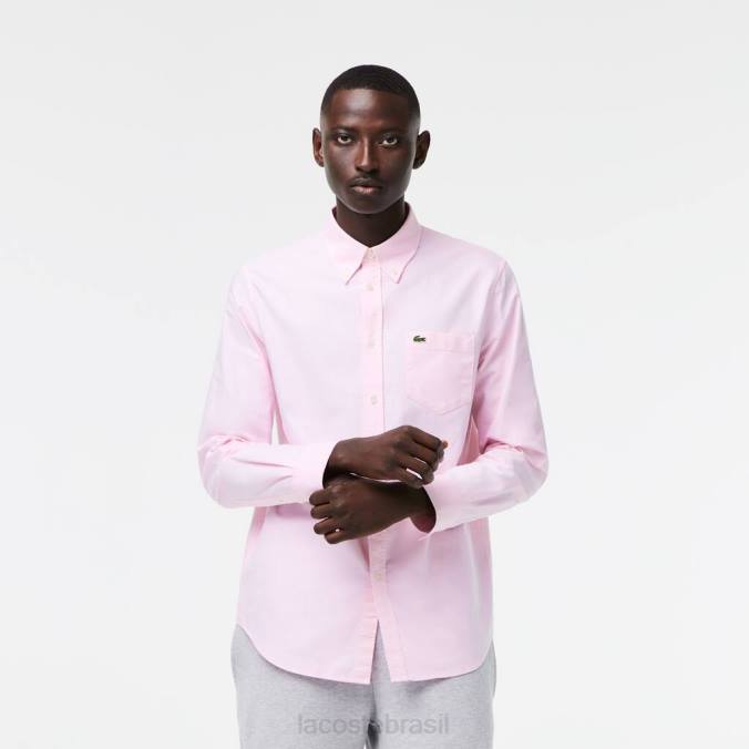 Lacoste homens camisa de algodão oxford regular fit luz rosa P2PX1468 roupas