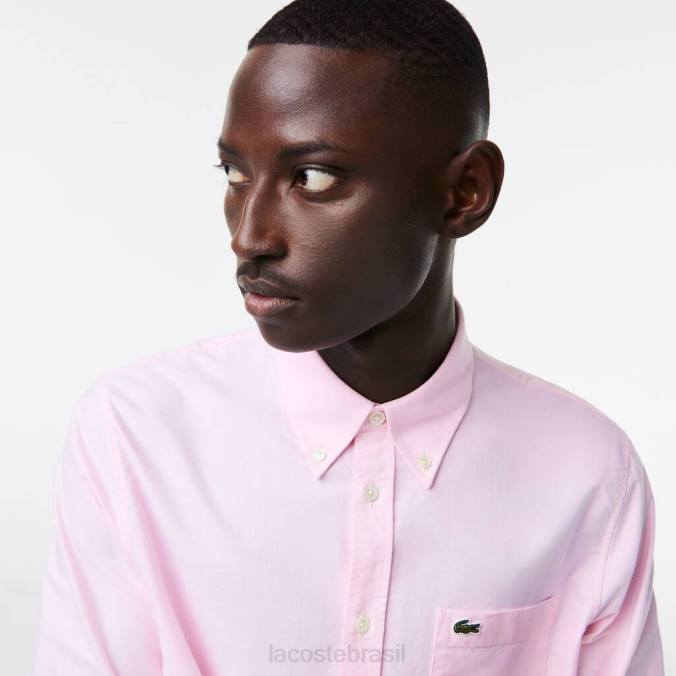 Lacoste homens camisa de algodão oxford regular fit luz rosa P2PX1468 roupas