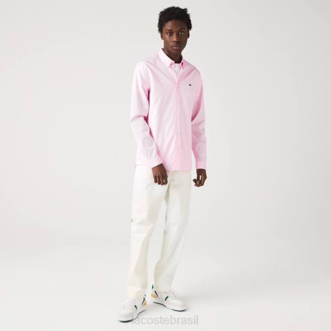 Lacoste homens camisa de algodão premium slim fit luz rosa P2PX1649 roupas
