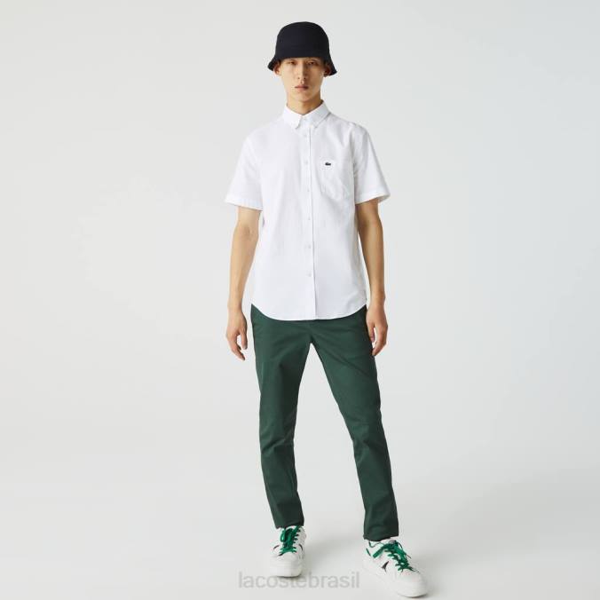 Lacoste homens camisa de algodão regular branco P2PX450 roupas