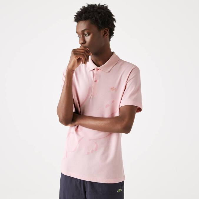 Lacoste homens polo de algodão orgânico stretch regular fit rosa P2PX932 roupas