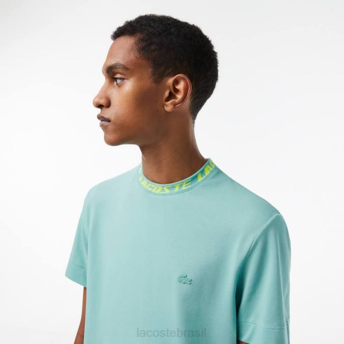 Lacoste homens camiseta com gola de marca regular fit verde P2PX208 roupas