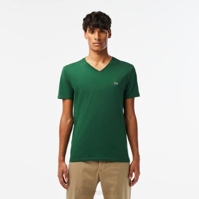 Lacoste homens camiseta em jersey de algodão pima com decote em V verde P2PX679 roupas