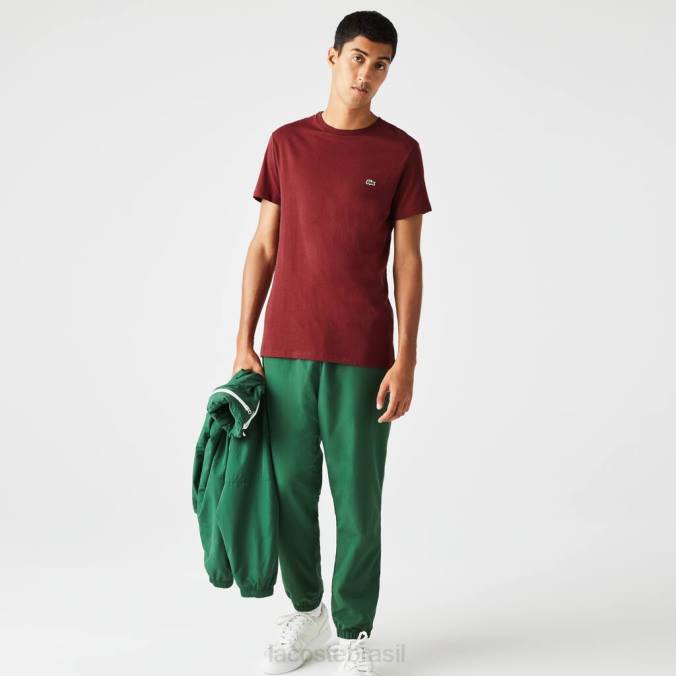 Lacoste homens camiseta em jersey de algodão pima com gola redonda Bordéus P2PX818 roupas