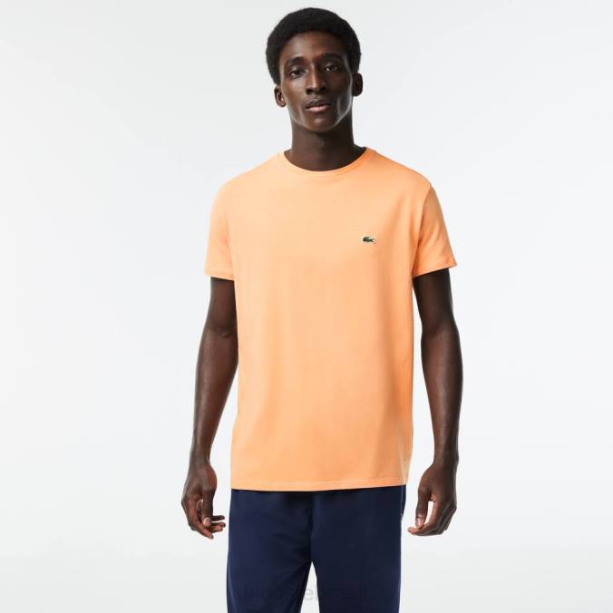 Lacoste homens camiseta em jersey de algodão pima com gola redonda laranja claro P2PX62 roupas