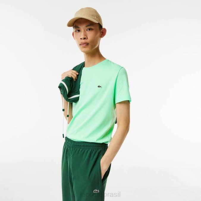 Lacoste homens camiseta em jersey de algodão pima com gola redonda luz verde P2PX833 roupas
