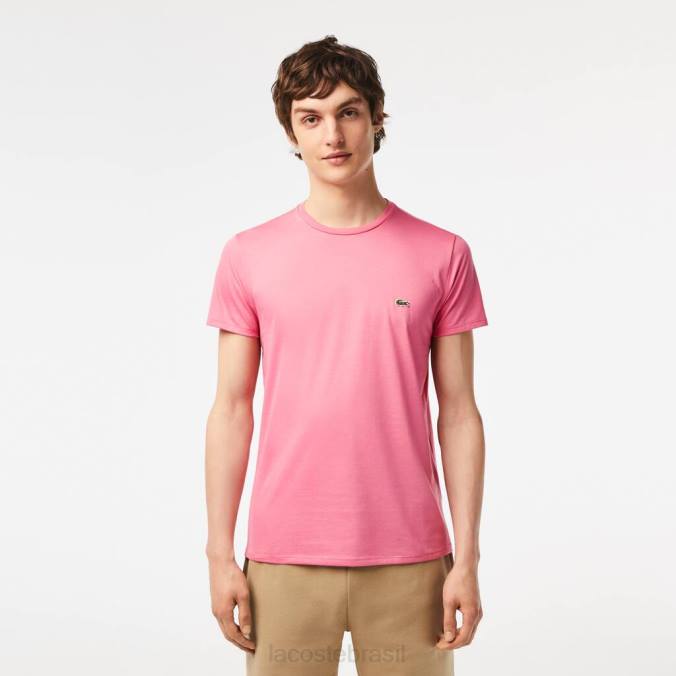 Lacoste homens camiseta em jersey de algodão pima com gola redonda rosa P2PX54 roupas