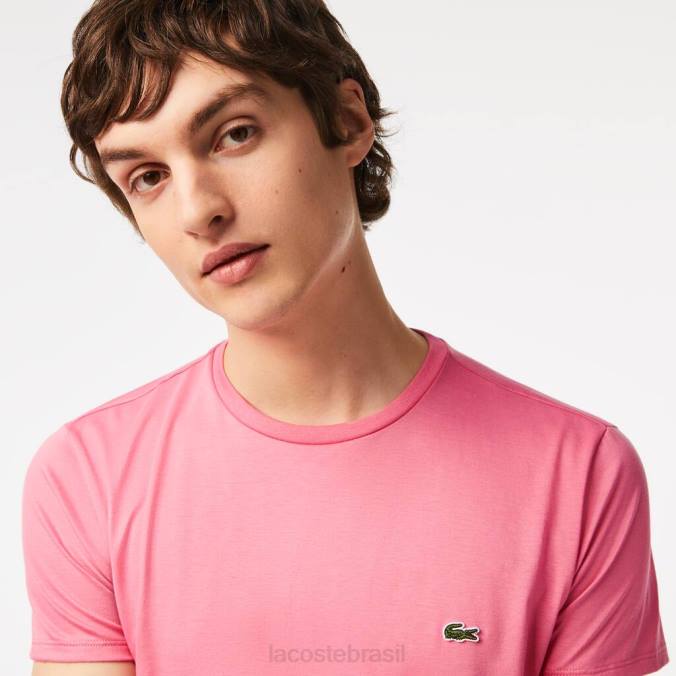 Lacoste homens camiseta em jersey de algodão pima com gola redonda rosa P2PX54 roupas