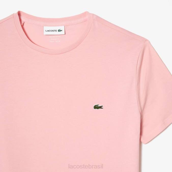 Lacoste homens camiseta em jersey de algodão pima com gola redonda rosa P2PX90 roupas