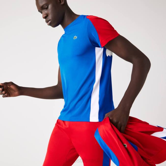 Lacoste homens camiseta esportiva com estampa de crocodilo azul/vermelho/branco P2PX587 roupas