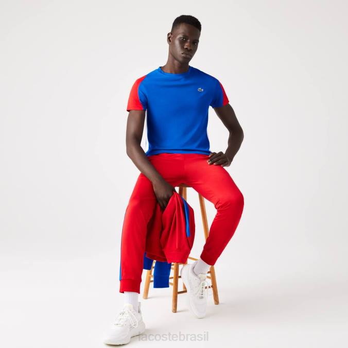 Lacoste homens camiseta esportiva com estampa de crocodilo azul/vermelho/branco P2PX587 roupas
