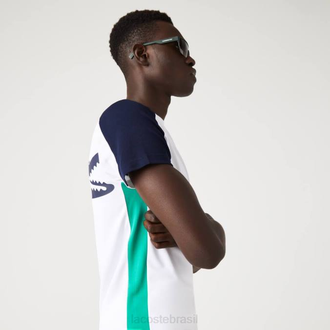 Lacoste homens camiseta esportiva com estampa de crocodilo branco/azul marinho/verde P2PX588 roupas