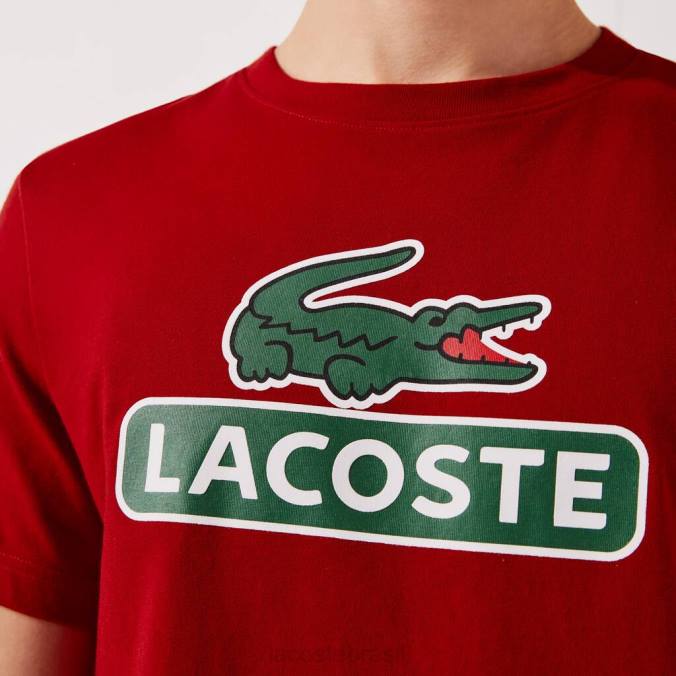 Lacoste homens camiseta esportiva com estampa de logo respirável vermelho P2PX930 roupas