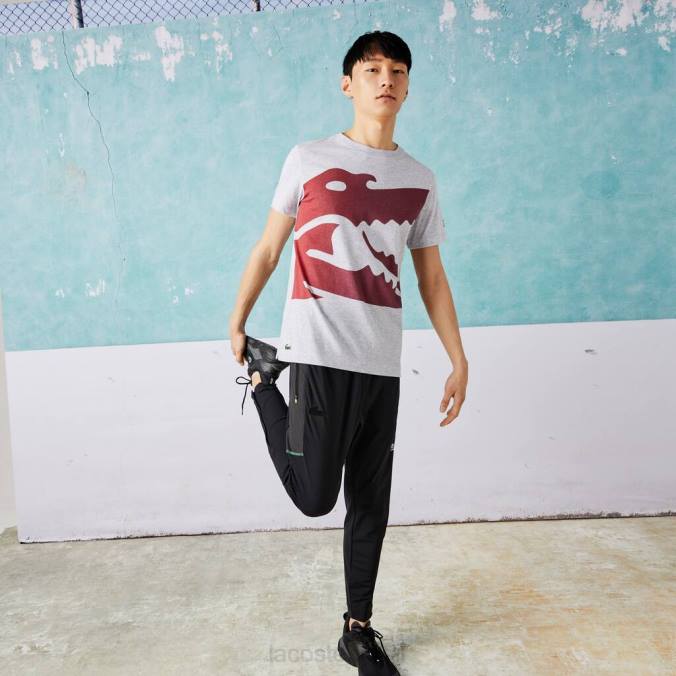 Lacoste homens camiseta esportiva novak djokovic croco algodão orgânico chino cinza P2PX871 roupas