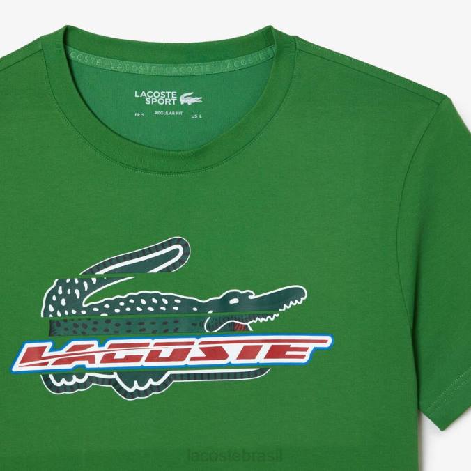 Lacoste homens camiseta esportiva regular fit de algodão orgânico verde P2PX143 roupas