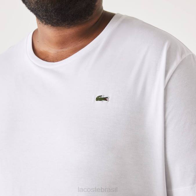 Lacoste homens camiseta gola redonda em jersey de algodão xl branco P2PX758 roupas
