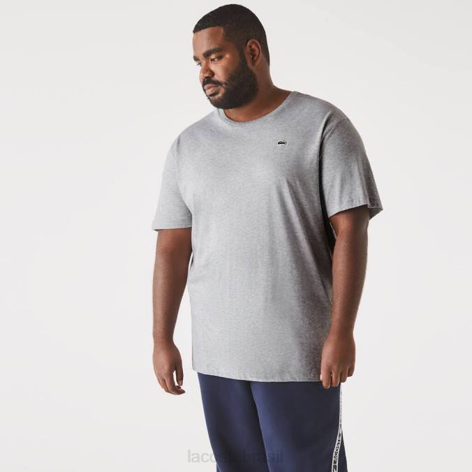 Lacoste homens camiseta gola redonda em jersey de algodão xl chino cinza P2PX757 roupas