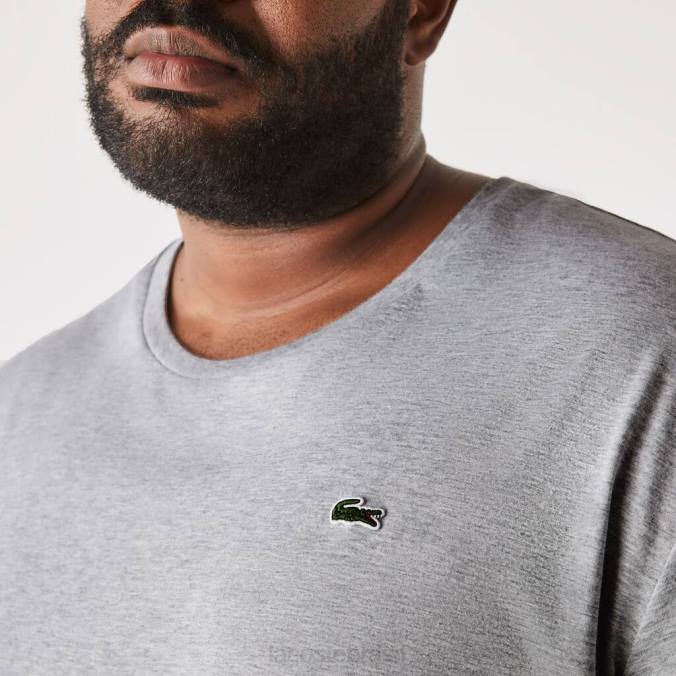 Lacoste homens camiseta gola redonda em jersey de algodão xl chino cinza P2PX757 roupas