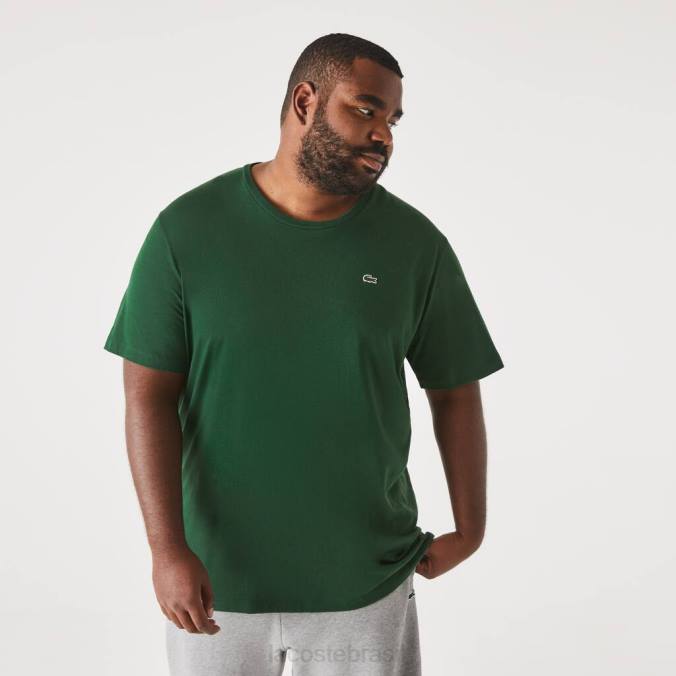 Lacoste homens camiseta gola redonda em jersey de algodão xl verde P2PX832 roupas